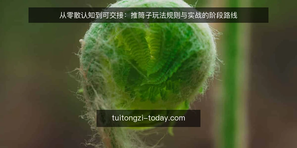 从零散认知到可交接:推筒子玩法规则与实战的阶段路线 — 起点:建立可核对的推筒子规则认知基线 配图