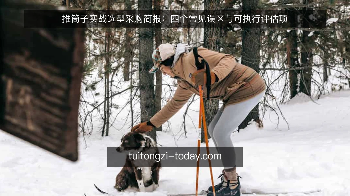 推筒子实战选型采购简报：四个常见误区与可执行评估项