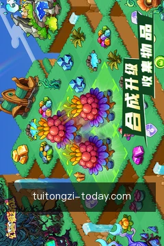 专家咨询